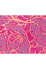 Emanation, 2021, by Adam Ball, 9 colour silk screen on Somerset Tub Sized satin 410gsm, 31 inches x 35 inches (79 x 89 cm) - detail.