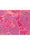 Emanation, 2021, by Adam Ball, 9 colour silk screen on Somerset Tub Sized satin 410gsm, 31 inches x 35 inches (79 x 89 cm) - detail.
